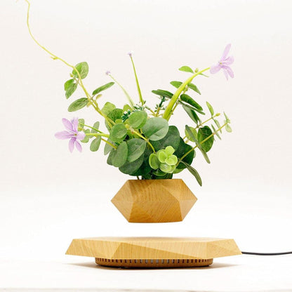 Levitating Plant Pot Hexagon Floating Air Bonsai Pot Suspension Flower Pot Planter for Office Home Decoration