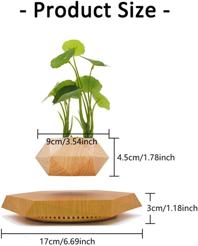 Levitating Plant Pot Hexagon Floating Air Bonsai Pot Suspension Flower Pot Planter for Office Home Decoration