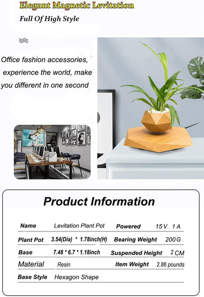 Levitating Plant Pot Hexagon Floating Air Bonsai Pot Suspension Flower Pot Planter for Office Home Decoration