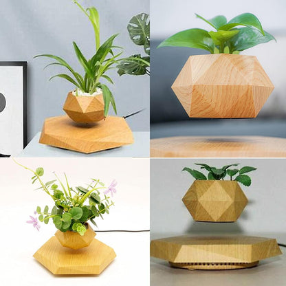 Levitating Plant Pot Hexagon Floating Air Bonsai Pot Suspension Flower Pot Planter for Office Home Decoration